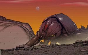 魔兽争霸星河战队哪个角色厉害些