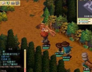 魔力宝贝永久冰石有什么用啊