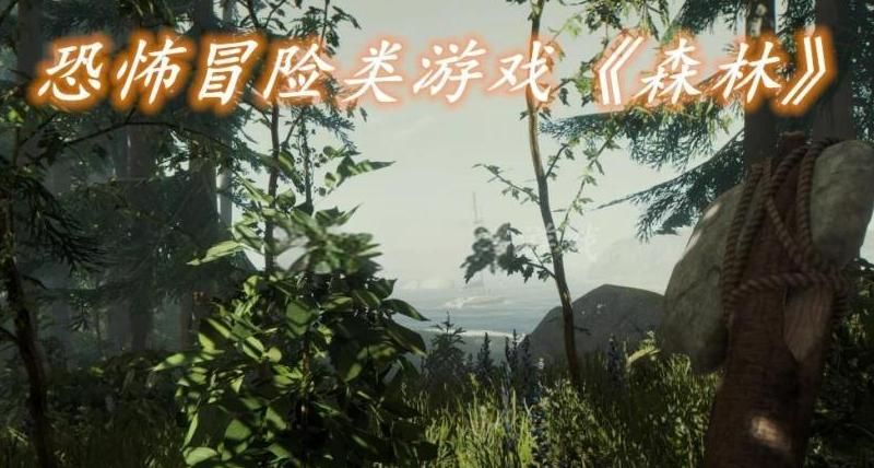 森林游戏怎么储存物品!w300