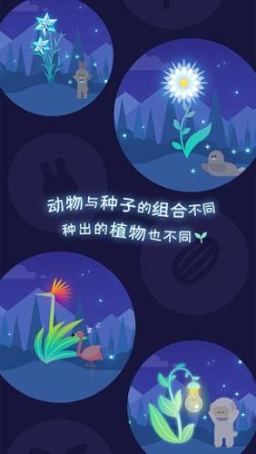夜之森游戏截图4