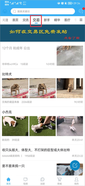 猛犬俱乐部图片