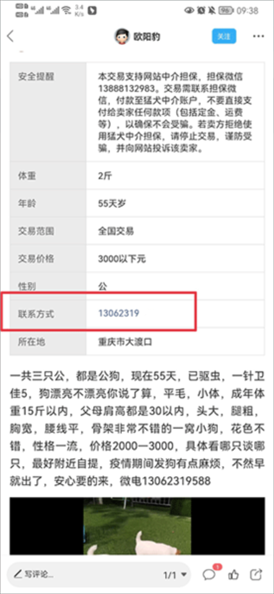 猛犬俱乐部图片