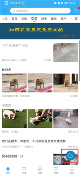 猛犬俱乐部图片