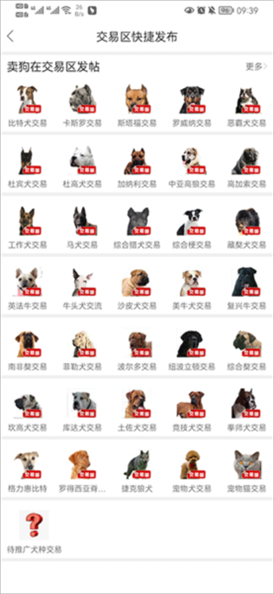 猛犬俱乐部图片
